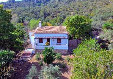 Casas Rurales Los Algarrobales