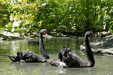 Casa Rural Molino Del Puente
