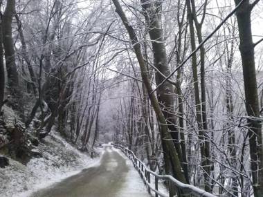 Casa Rural Molino Del Puente
