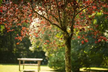 Pedreiras Cottage Rias Baixas