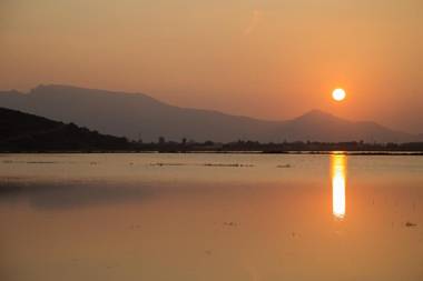 Los Olivos Apartment Cullera