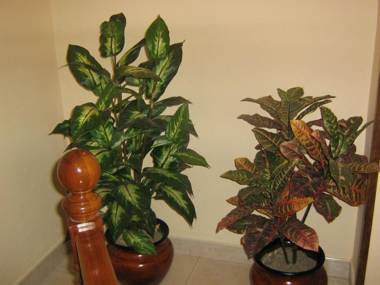 Apartamentos La Lula