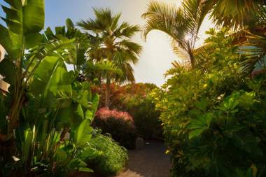 Alua Suites Fuerteventura