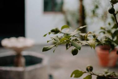 LA CASA DEL CARDENAL