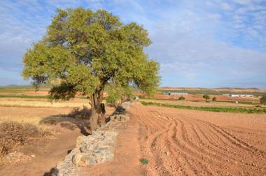 Apartamentos Turisticos La vida de antes