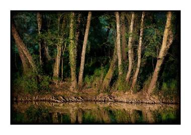 El Rincón de San Benito