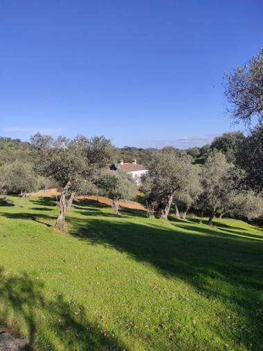 CORTIJO RURAL FLOR DE CAZALLA