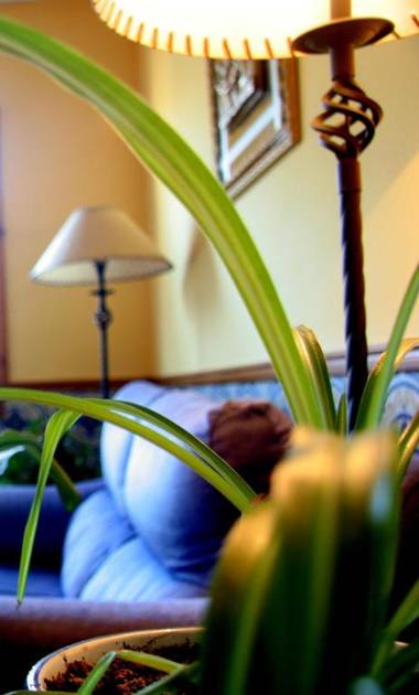 Hostal Casa Barranco