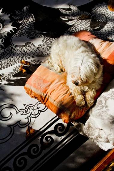 Cortijo en Bubion "Casa Ibero" Slow Alojamiento turistico rural VTAR GR 00516/ 00555