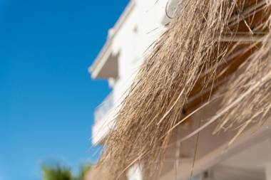 Baulo Mar - Standard