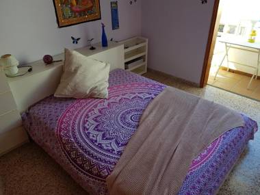 The Magic Dragonfly!