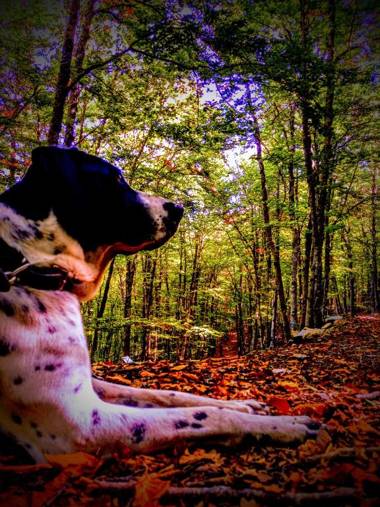 Hotel Río Escabas Serranía de Cuenca