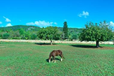Beautiful Villa Garreta in Rustic Location