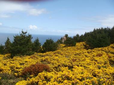 Hotel Rustico Lugar Do Cotariño