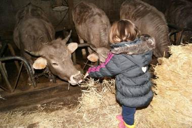 Apartamentos Remoña 1