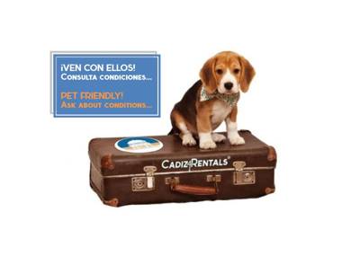 PASACALLES Home by Cadiz4Rentals