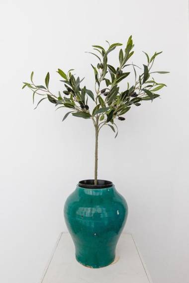 Apartamentos La Botanica Cadiz