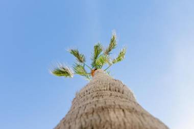 Apartamento Malibu Cadiz playa