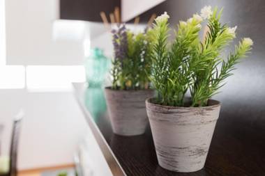 El Solarium de Torre