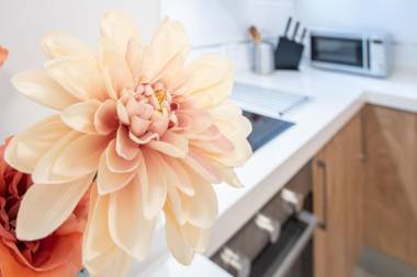 Apartamento Colon en Cadiz