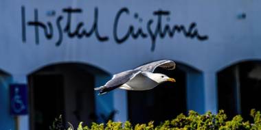 Hostal Cristina