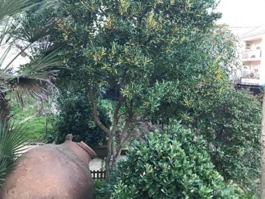 Albergue las Veletas