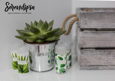 Serendipia San Justo