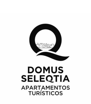 Domus Seleqtia Plaza de Santiago