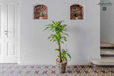 Casa Leyendas de Cáceres - en plena zona monumental