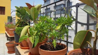 VÍA NATURA hotel rural gastronómico