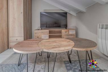 Apartamentos Burgos Centro