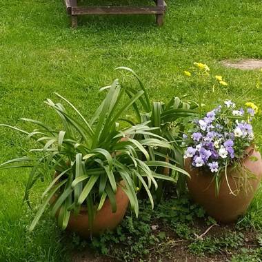 Casa Videira - Hotel rural cerca del mar