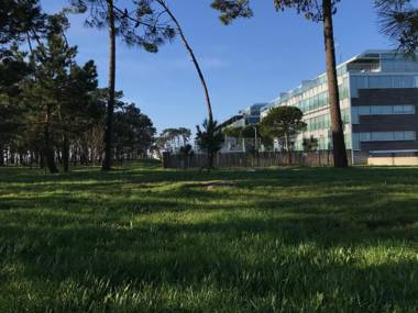 roomAREA vivienda turistica