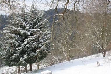 Casa Rural Ecológica Arrizurieta