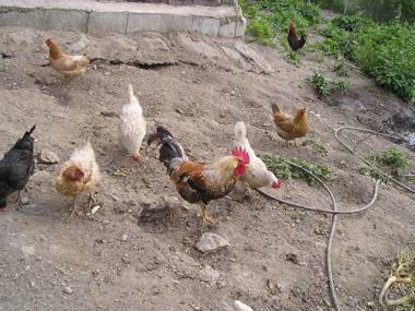 Alojamientos Rurales Benarum