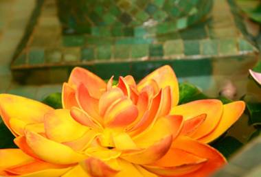 Hostal La Fonda Grupo Terra de Mar alojamientos con encanto