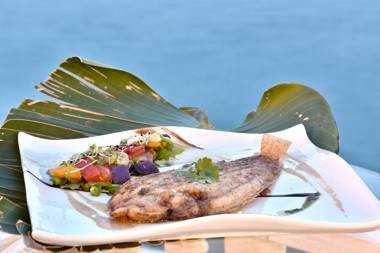 Aparthotel Ola Blanca