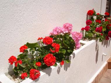 Rinconada Real - Zand Properties