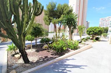 Atico Levante Torre Montecarlo