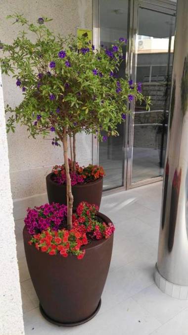 Azul Rentals Benidorm flat