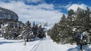 UP BENASQUE El Grito de Tarzan