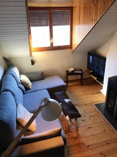 2 bedrooms appartement with shared pool at Benasque