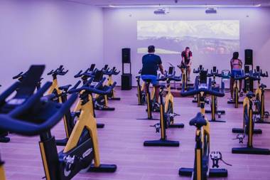 Higuerón Rental Playa Cuesta