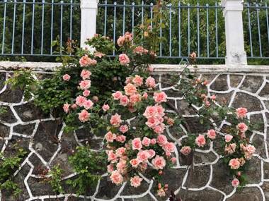 La Casita Del Castañar