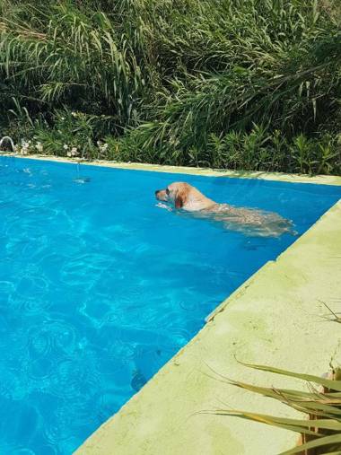 Mas Torrencito pet friendly
