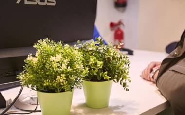 Hostel Central and Basic Universitat