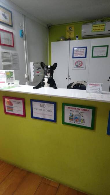 Diagonal House Hostel