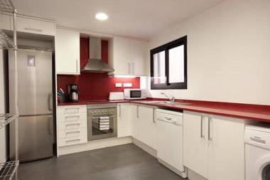 Spacious apartment for families near Park Guell