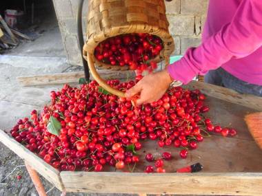 Casa Jardín de la Plata