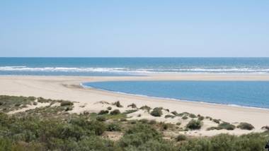 Los Albatros by HOMA